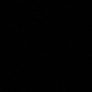 Meet your Posher, Bridgette